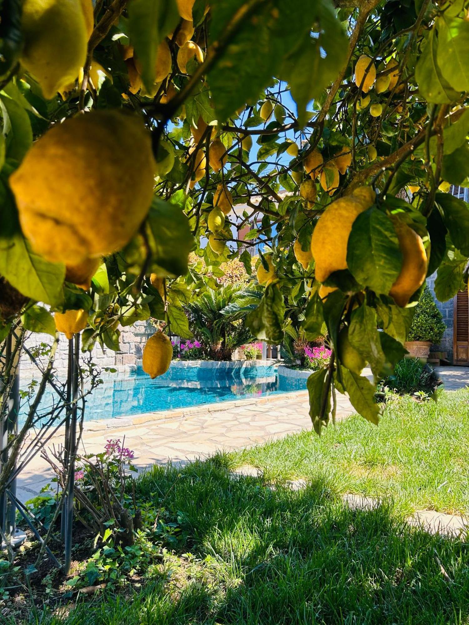 Maison Villa Angela SantʼAgata sui Due Golfi Exteriör bild